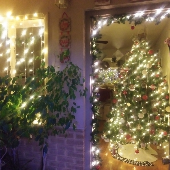 Meet your Posher, Carlos rodriguez - Picture 5 of 7